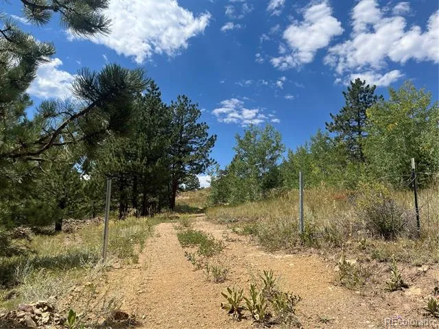 795 Russell Gulch Road Central City, CO 80427
