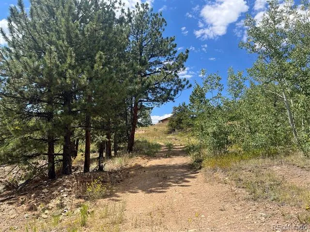 795 Russell Gulch Road Central City, CO 80427