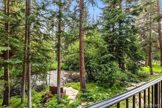 165 River Park Drive Breckenridge, CO 80424