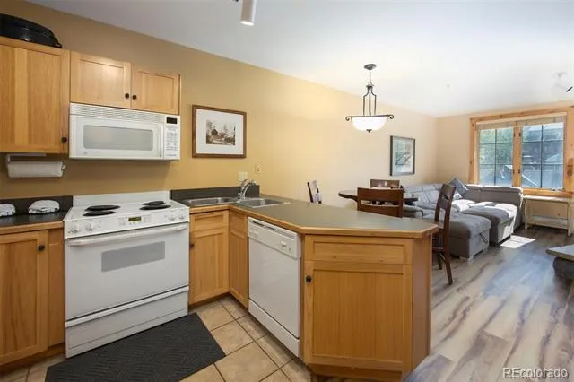 150 Dercum Square #8482 Keystone, CO 80435