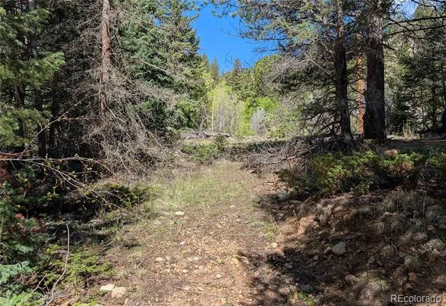 Highway 103 & Cascade Creek Rd Idaho Springs, CO 80452