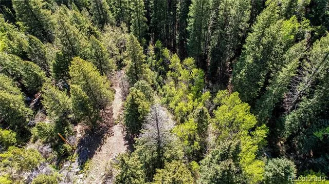Highway 103 & Cascade Creek Rd Idaho Springs, CO 80452