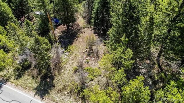 Highway 103 & Cascade Creek Rd Idaho Springs, CO 80452