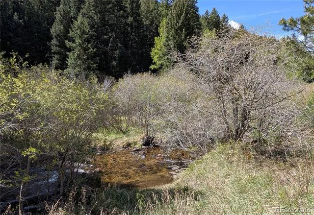 Highway 103 & Cascade Creek Rd Idaho Springs, CO 80452