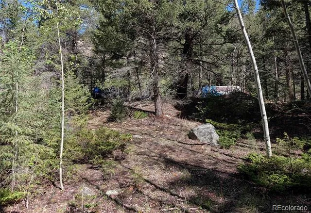 Highway 103 & Cascade Creek Rd Idaho Springs, CO 80452