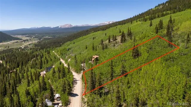 1255 Quartzville Road Fairplay, CO 80440