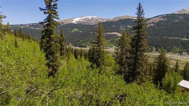 1255 Quartzville Road Fairplay, CO 80440