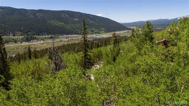 1255 Quartzville Road Fairplay, CO 80440