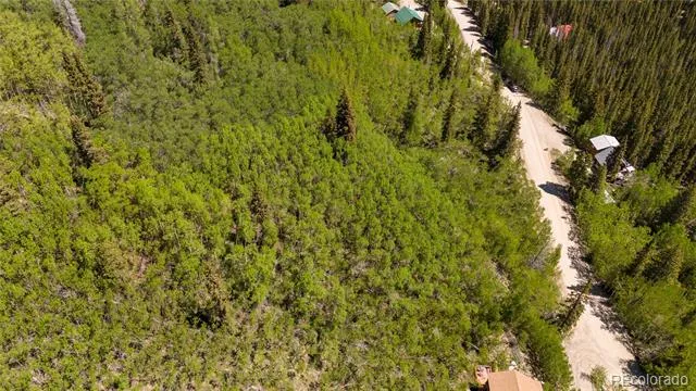 1255 Quartzville Road Fairplay, CO 80440