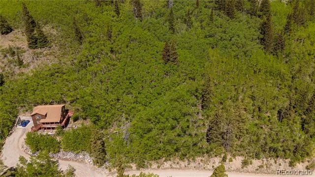 1255 Quartzville Road Fairplay, CO 80440