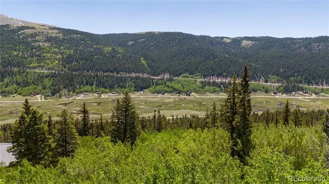 1255 Quartzville Road Fairplay, CO 80440