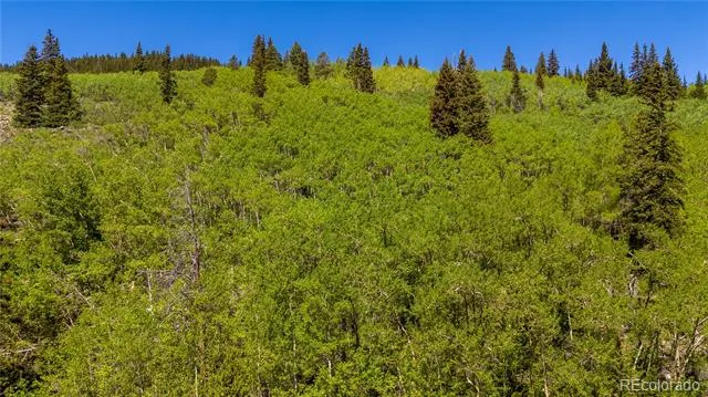 1255 Quartzville Road Fairplay, CO 80440