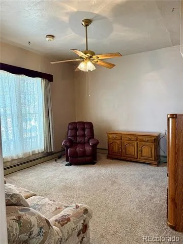 453 Mckinley Street Walden, CO 80480