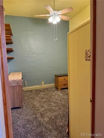 453 Mckinley Street Walden, CO 80480