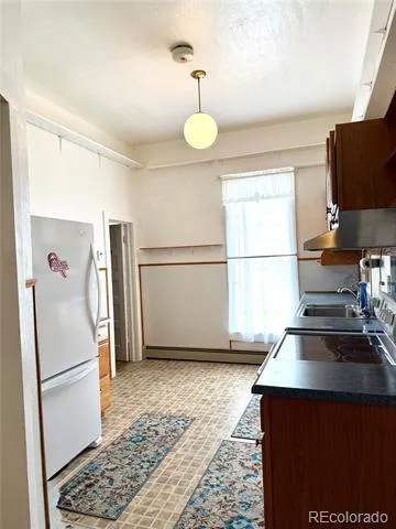 453 Mckinley Street Walden, CO 80480
