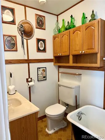 453 Mckinley Street Walden, CO 80480