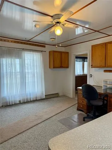 453 Mckinley Street Walden, CO 80480