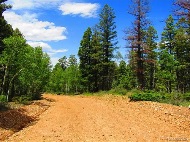 LOT 6082 Stella Road Road San Luis, CO 81152