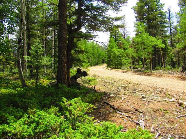 LOT 6082 Stella Road Road San Luis, CO 81152