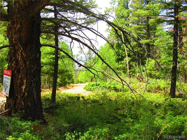 LOT 6082 Stella Road Road San Luis, CO 81152