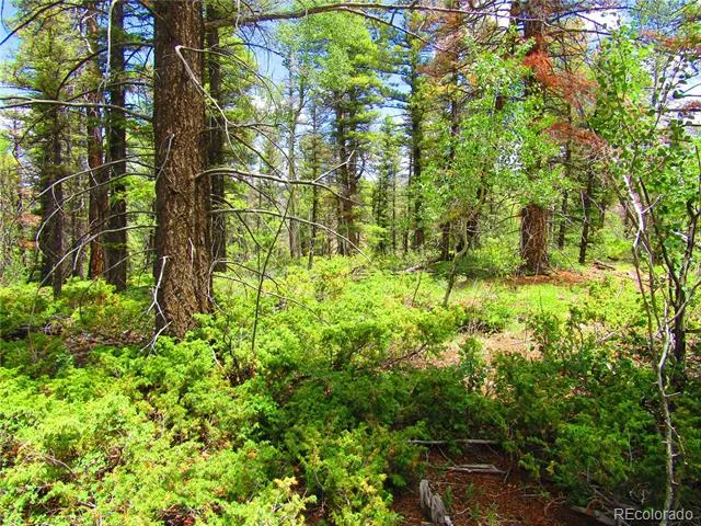 LOT 6082 Stella Road Road San Luis, CO 81152