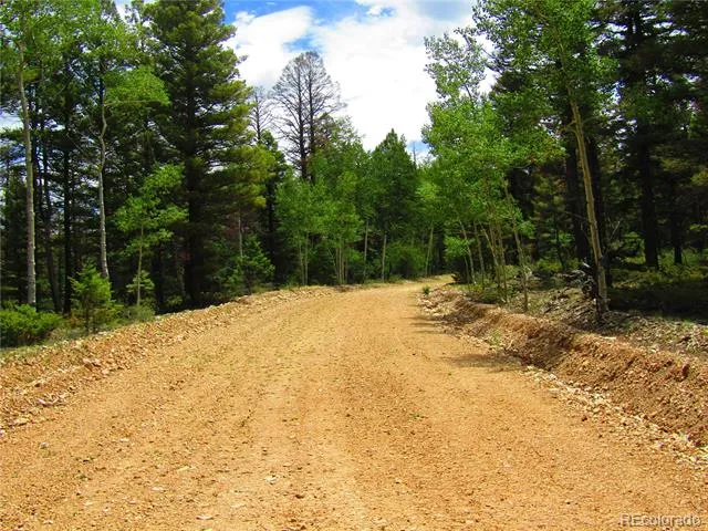 LOT 6082 Stella Road Road San Luis, CO 81152