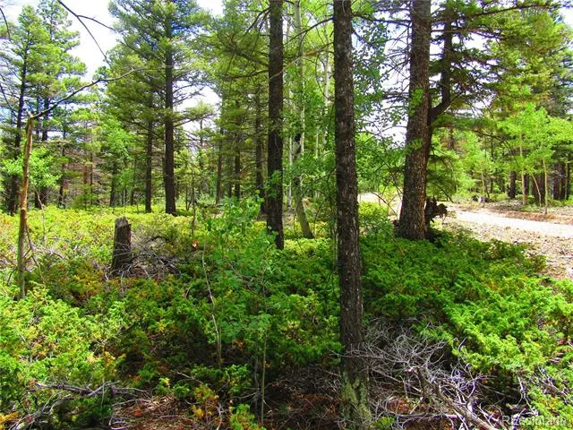 LOT 6082 Stella Road Road San Luis, CO 81152