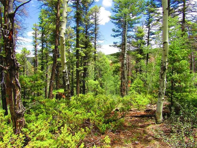 LOT 6082 Stella Road Road San Luis, CO 81152