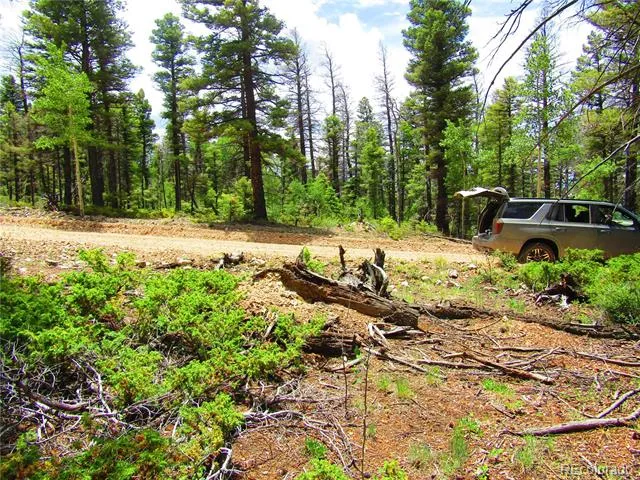 LOT 6082 Stella Road Road San Luis, CO 81152