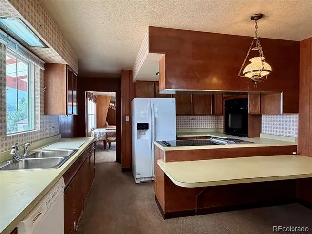 421 W 8th Street Leadville, CO 80461