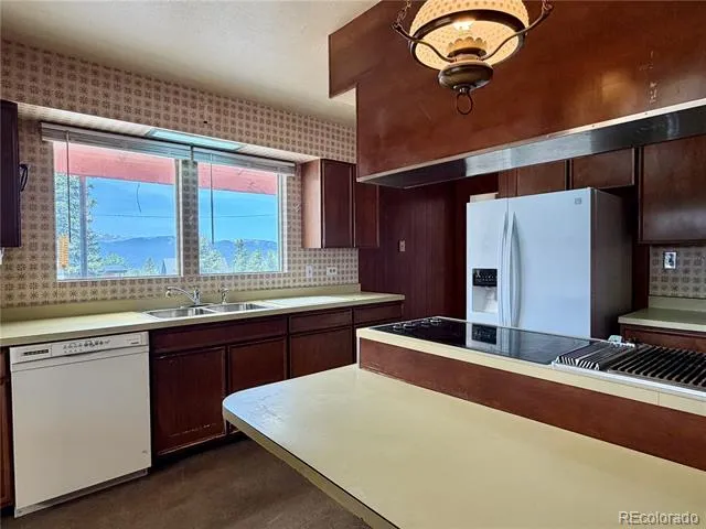 421 W 8th Street Leadville, CO 80461