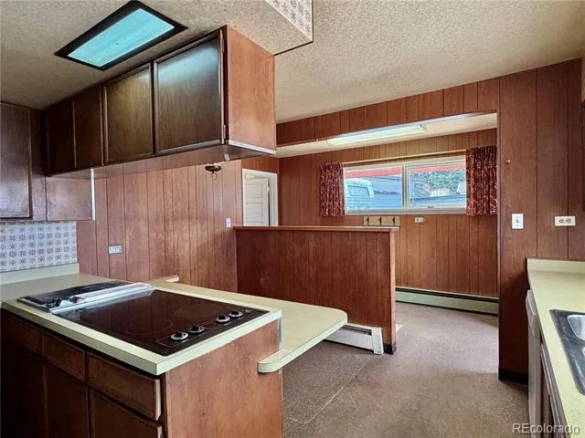421 W 8th Street Leadville, CO 80461