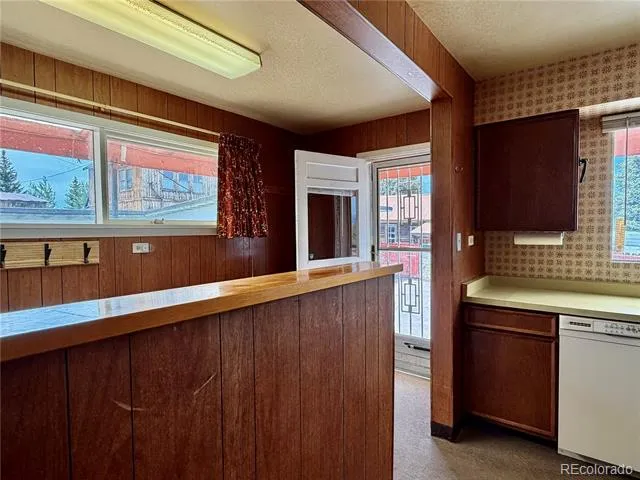 421 W 8th Street Leadville, CO 80461