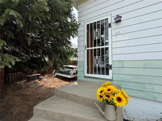 421 W 8th Street Leadville, CO 80461