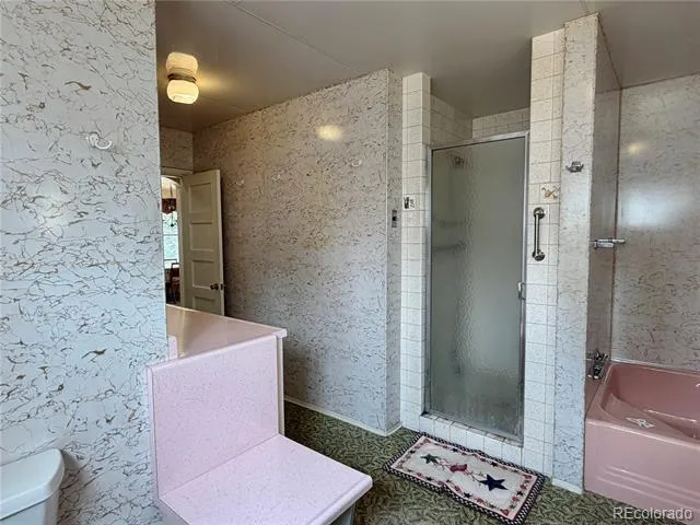 421 W 8th Street Leadville, CO 80461