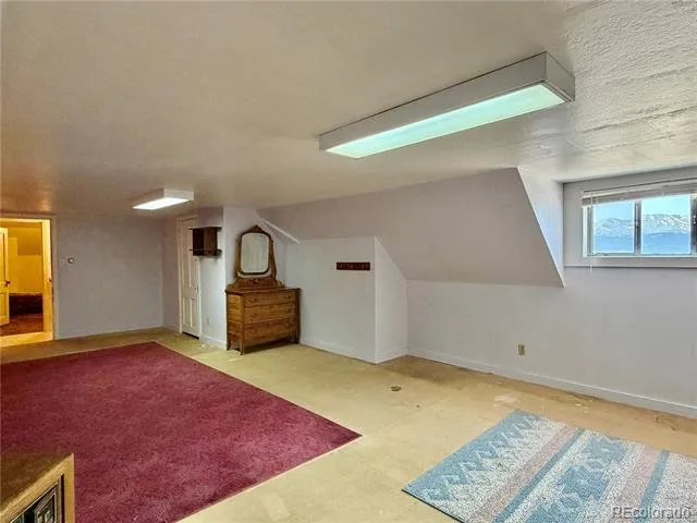 421 W 8th Street Leadville, CO 80461