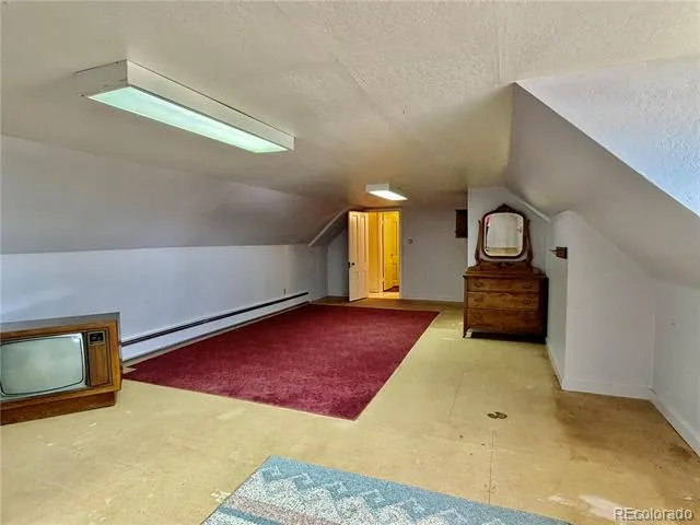 421 W 8th Street Leadville, CO 80461
