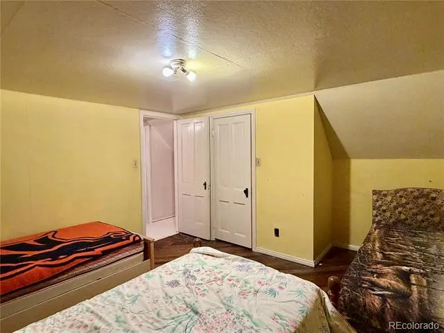 421 W 8th Street Leadville, CO 80461