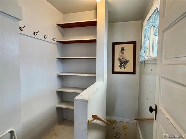 421 W 8th Street Leadville, CO 80461