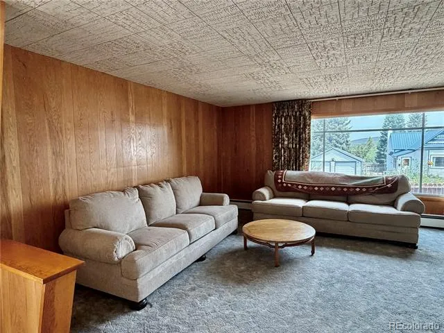 421 W 8th Street Leadville, CO 80461