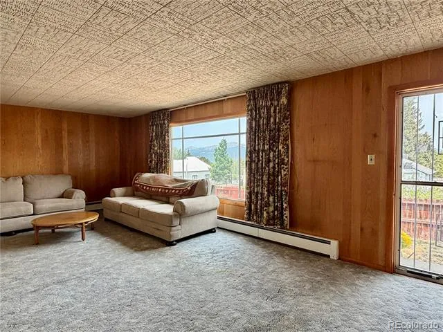 421 W 8th Street Leadville, CO 80461