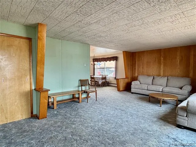 421 W 8th Street Leadville, CO 80461