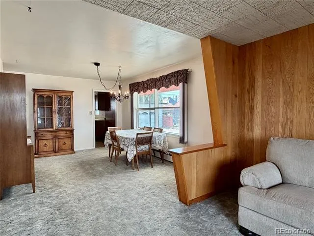 421 W 8th Street Leadville, CO 80461