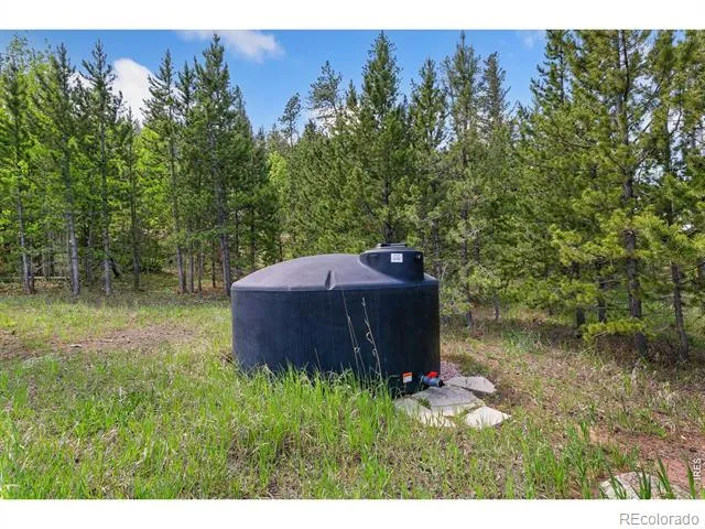 5481 County Road 73C Red Feather Lakes, CO 80545