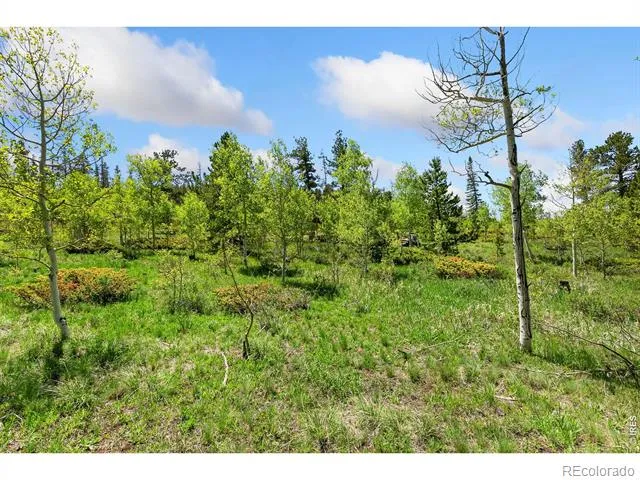 5481 County Road 73C Red Feather Lakes, CO 80545