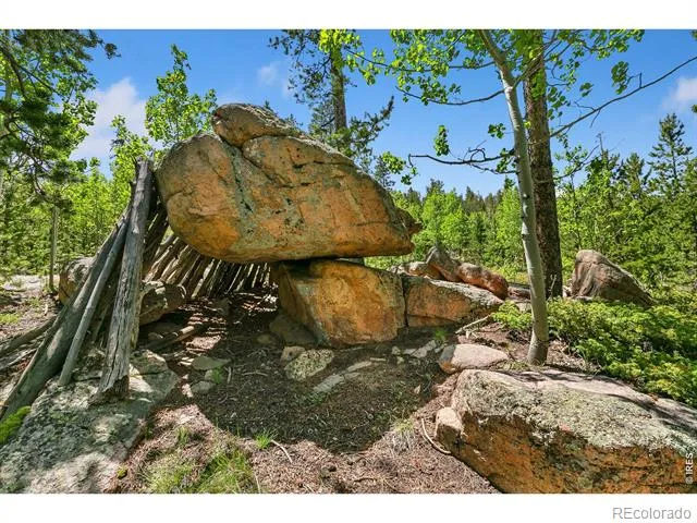 5481 County Road 73C Red Feather Lakes, CO 80545