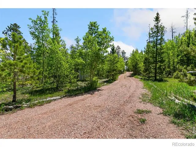 5481 County Road 73C Red Feather Lakes, CO 80545