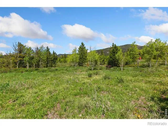 5481 County Road 73C Red Feather Lakes, CO 80545