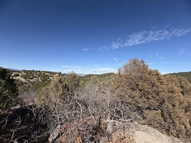 3412 Indian Wells Road Cotopaxi, CO 81223