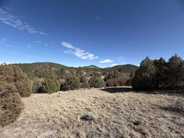 3412 Indian Wells Road Cotopaxi, CO 81223